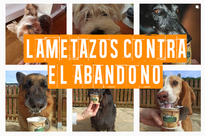 Más de 1300 lametazos contra el abandono